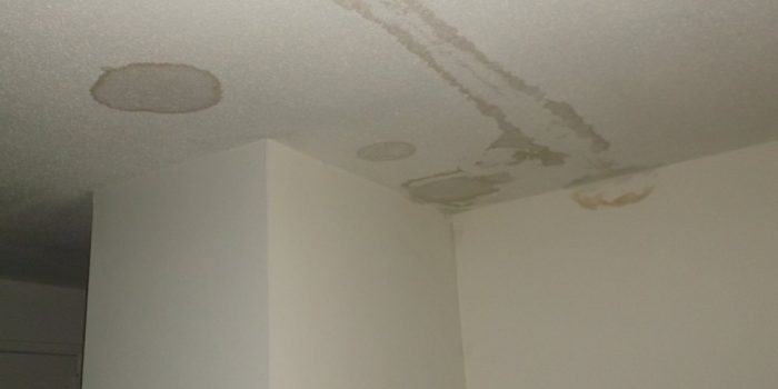 Picture of roof maintenance