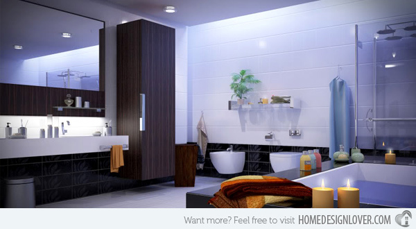 Picture of Efficient Bathroom Accessories for Improved Services 
