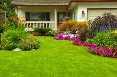 Picture of Lovely House Gardening and Landscaping Concepts 