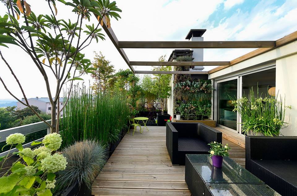 Picture of Boundless Functional Rooftop Terrace Designs