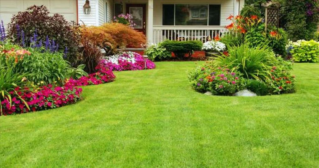 Picture of Blend and Harmony of Houses and Beautiful Landscaping 
