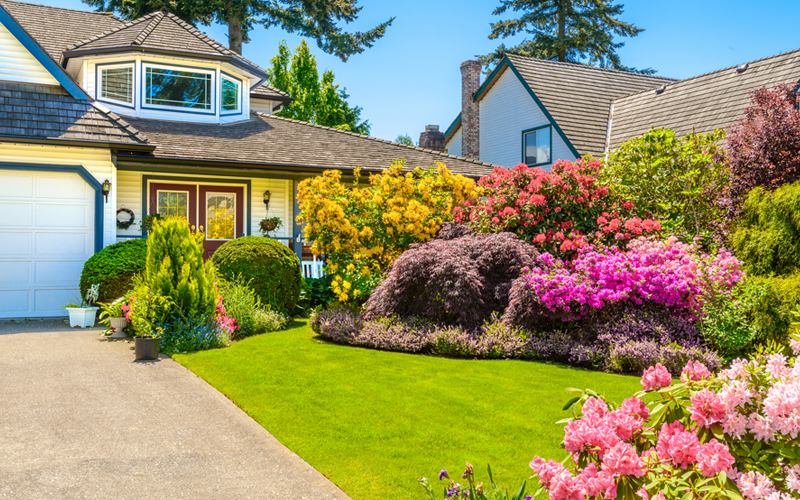 Picture of Blend and Harmony of Houses and Beautiful Landscaping 