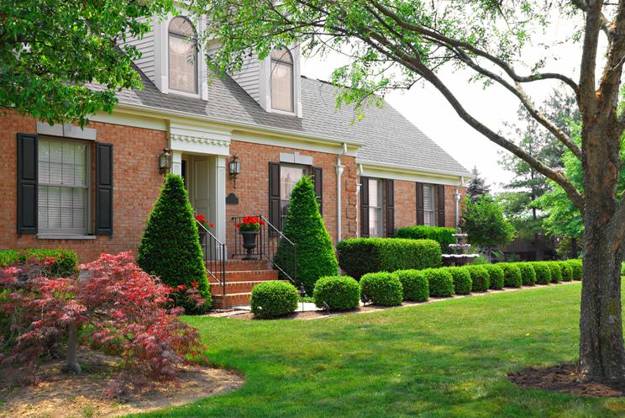 Picture of Blend and Harmony of Houses and Beautiful Landscaping 
