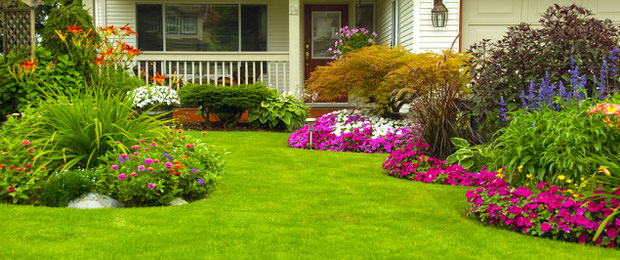Picture of Beauty of House with Landscaped Yards