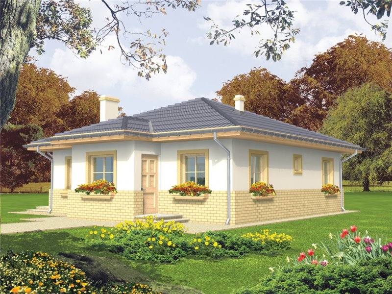 Picture of Serene Traditional Bungalow House Design