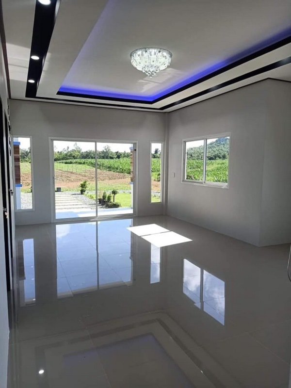 Picture of One Storey Modern House in Blue & White Exterior