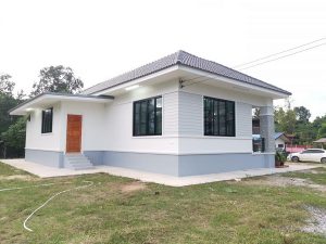 Picture of Splendid Modern House Plan with Wide Frontage